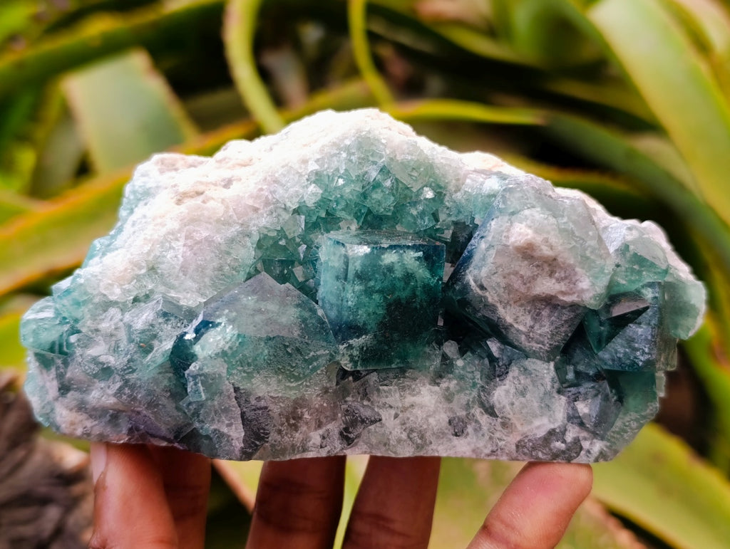 Natural Cubic Green Fluorite Cluster Specimens x 3 From Mandrosonoro, Madagascar