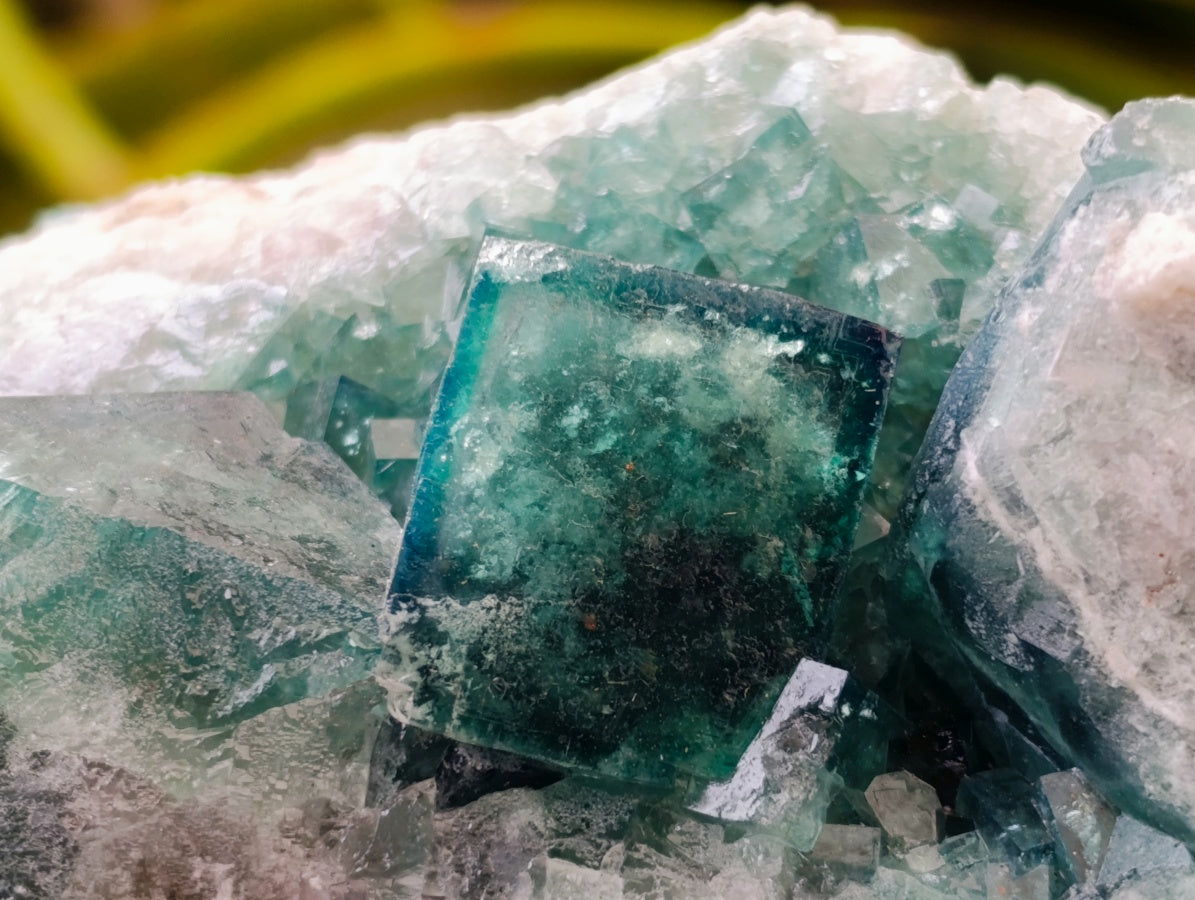 Natural Cubic Green Fluorite Cluster Specimens x 3 From Mandrosonoro, Madagascar