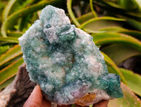 Natural Cubic Green Fluorite Cluster Specimens x 3 From Mandrosonoro, Madagascar