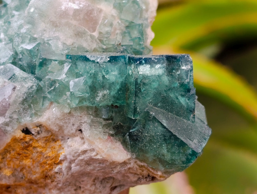 Natural Cubic Green Fluorite Cluster Specimens x 3 From Mandrosonoro, Madagascar