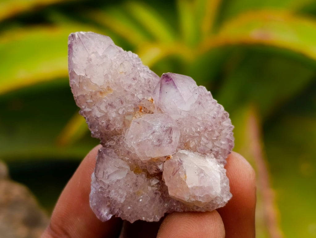 Natural Smokey Ametrine Spirit Crystals x 35 From Boekenhouthoek, South Africa
