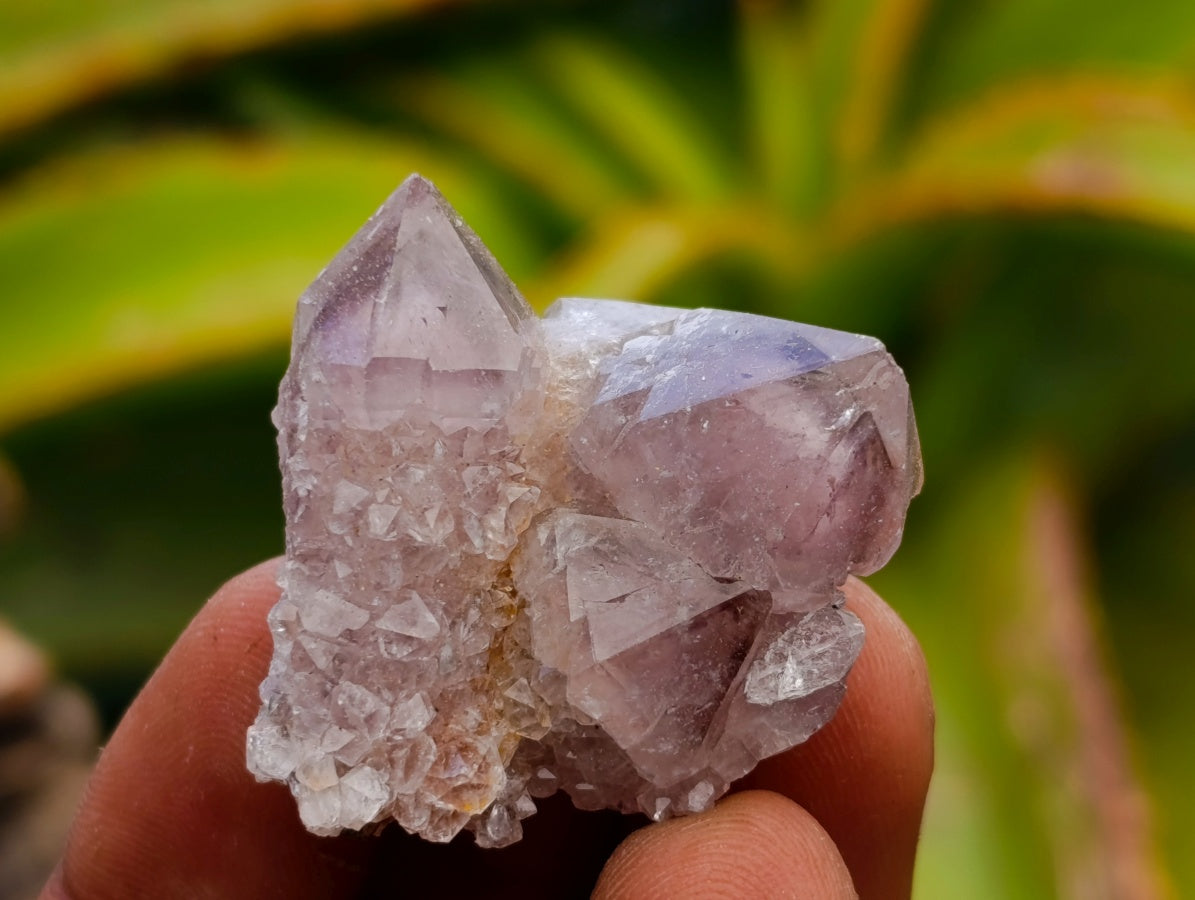 Natural Smokey Ametrine Spirit Crystals x 35 From Boekenhouthoek, South Africa