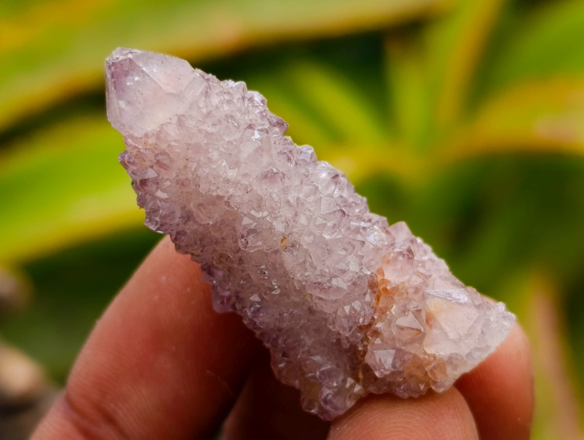 Natural Smokey Ametrine Spirit Crystals x 35 From Boekenhouthoek, South Africa