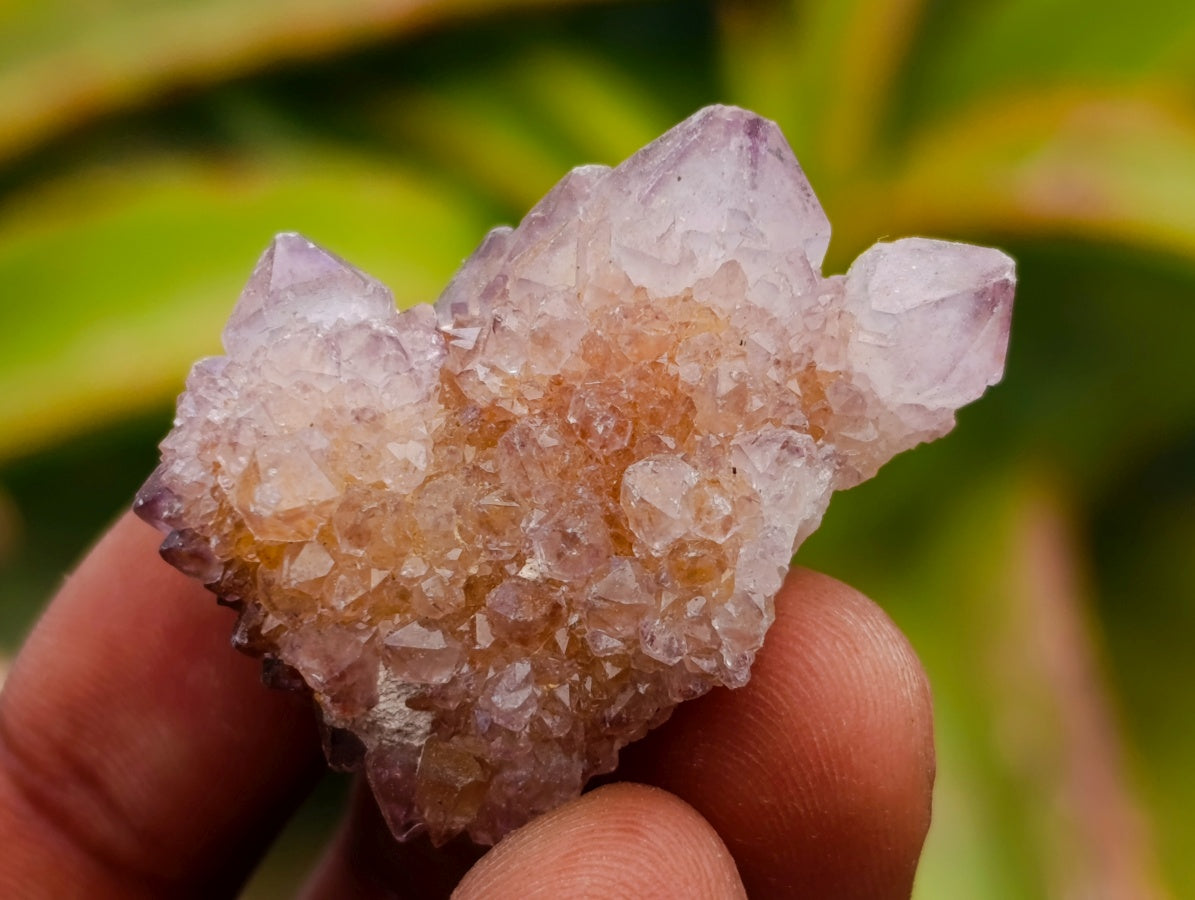 Natural Smokey Ametrine Spirit Crystals x 35 From Boekenhouthoek, South Africa