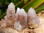 Natural Smokey Ametrine Spirit Crystals x 35 From Boekenhouthoek, South Africa