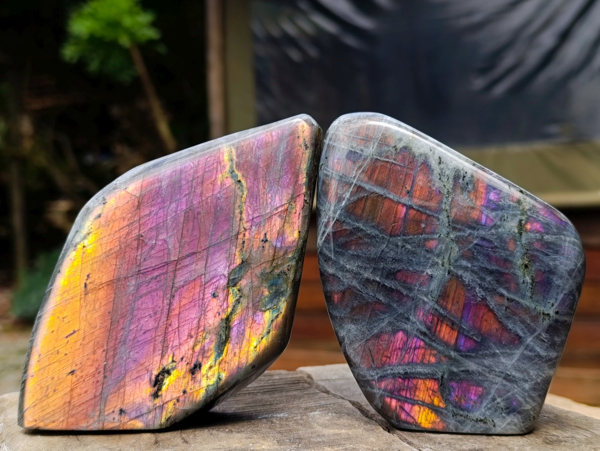 Polished Rare Purple Sunset Flash Labradorite Standing Free Forms x 2 From Madagascar