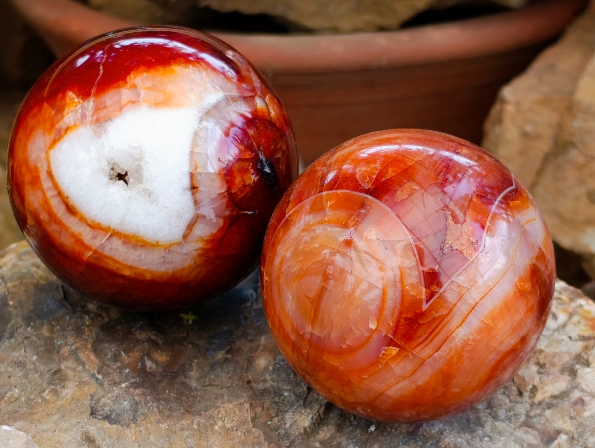 Polished Carnelian Agate Gemstone Spheres x 6 From Madagascar