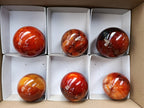 Polished Carnelian Agate Gemstone Spheres x 6 From Madagascar