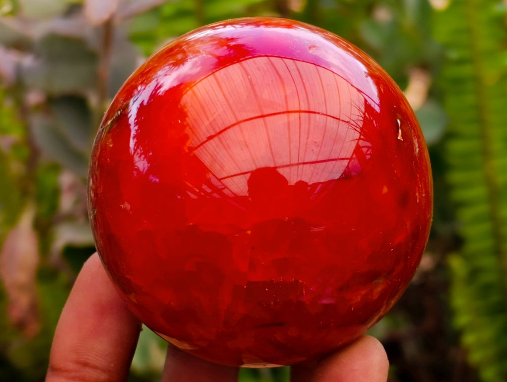 Polished Carnelian Agate Gemstone Spheres x 6 From Madagascar