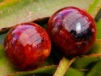 Polished Carnelian Agate Gemstone Spheres x 6 From Madagascar