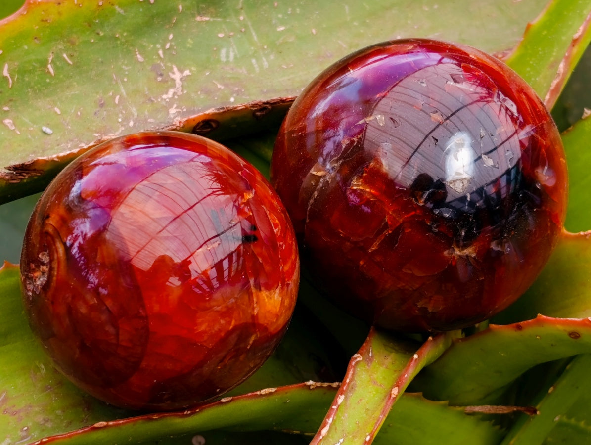 Polished Carnelian Agate Gemstone Spheres x 6 From Madagascar