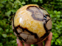 Polished Large Septerye Sphere x 1 From Mahajanga, Madagascar