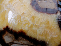 Polished Large Septerye Sphere x 1 From Mahajanga, Madagascar