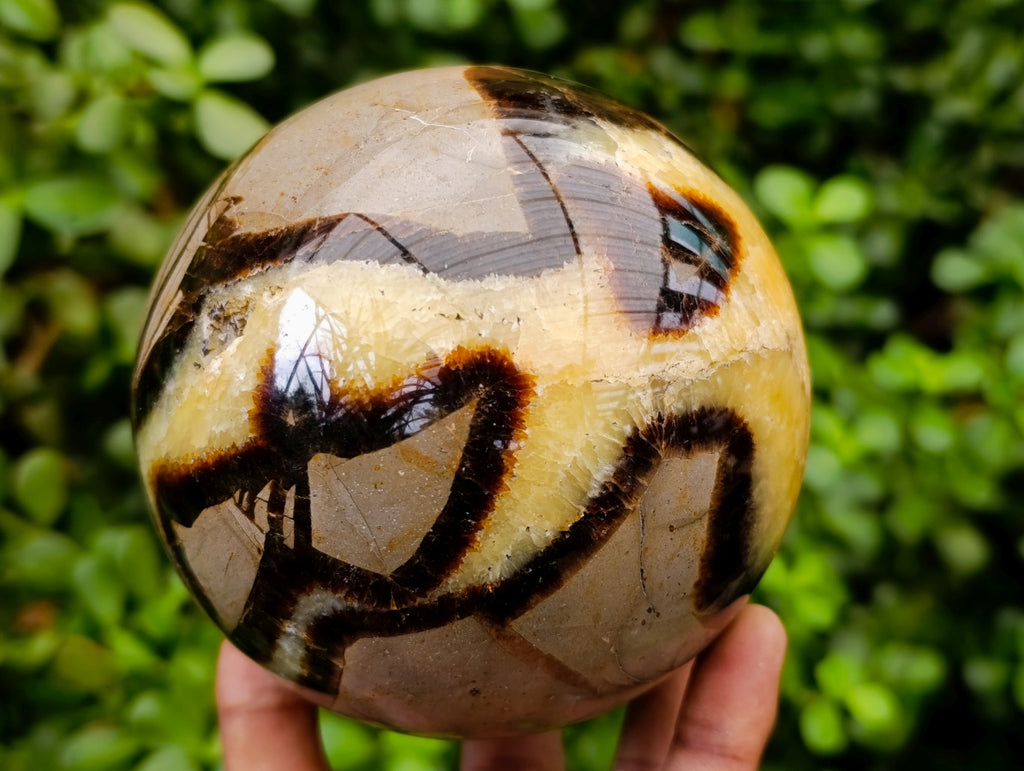 Polished Large Septerye Sphere x 1 From Mahajanga, Madagascar
