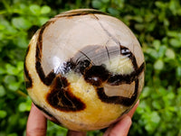 Polished Large Septerye Sphere x 1 From Mahajanga, Madagascar