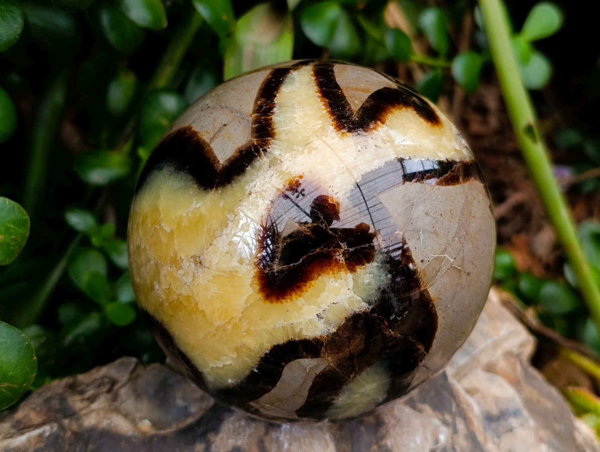 Polished Large Septerye Sphere x 1 From Mahajanga, Madagascar
