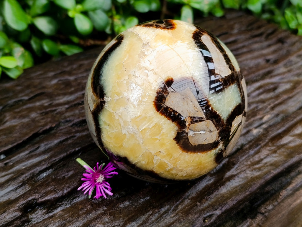 Polished Large Septerye Sphere x 1 From Mahajanga, Madagascar