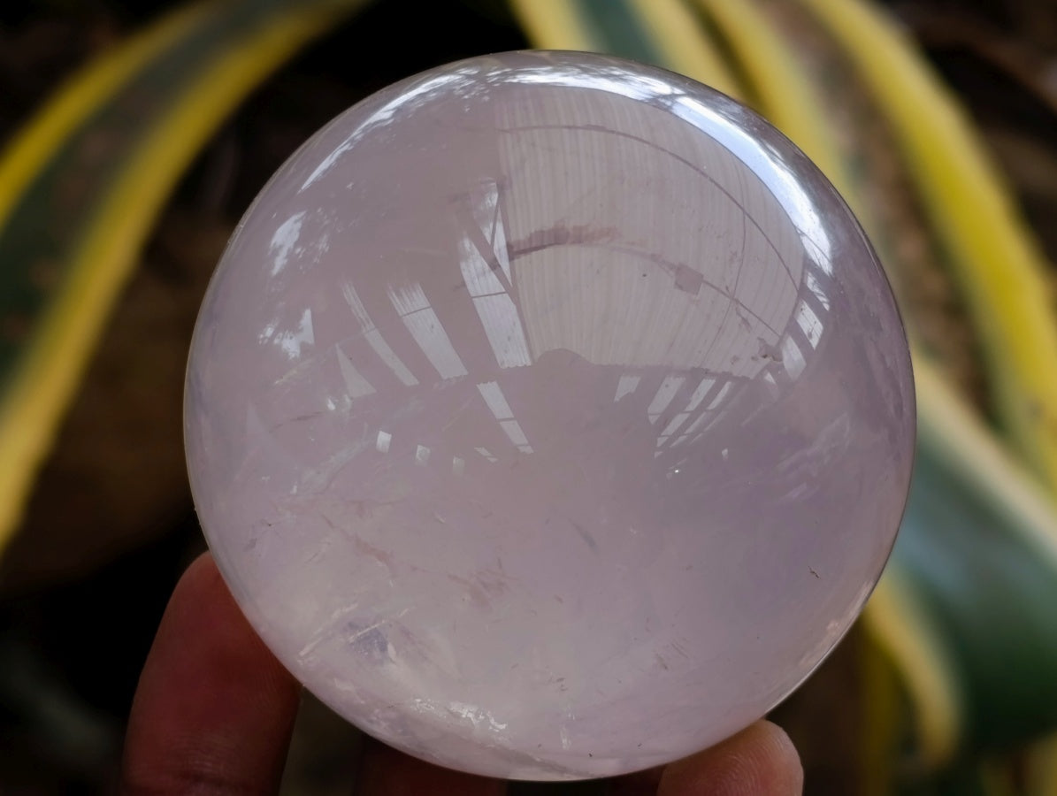 Polished Gemmy Star Rose Girasol Quartz Spheres x 3 From Madagascar