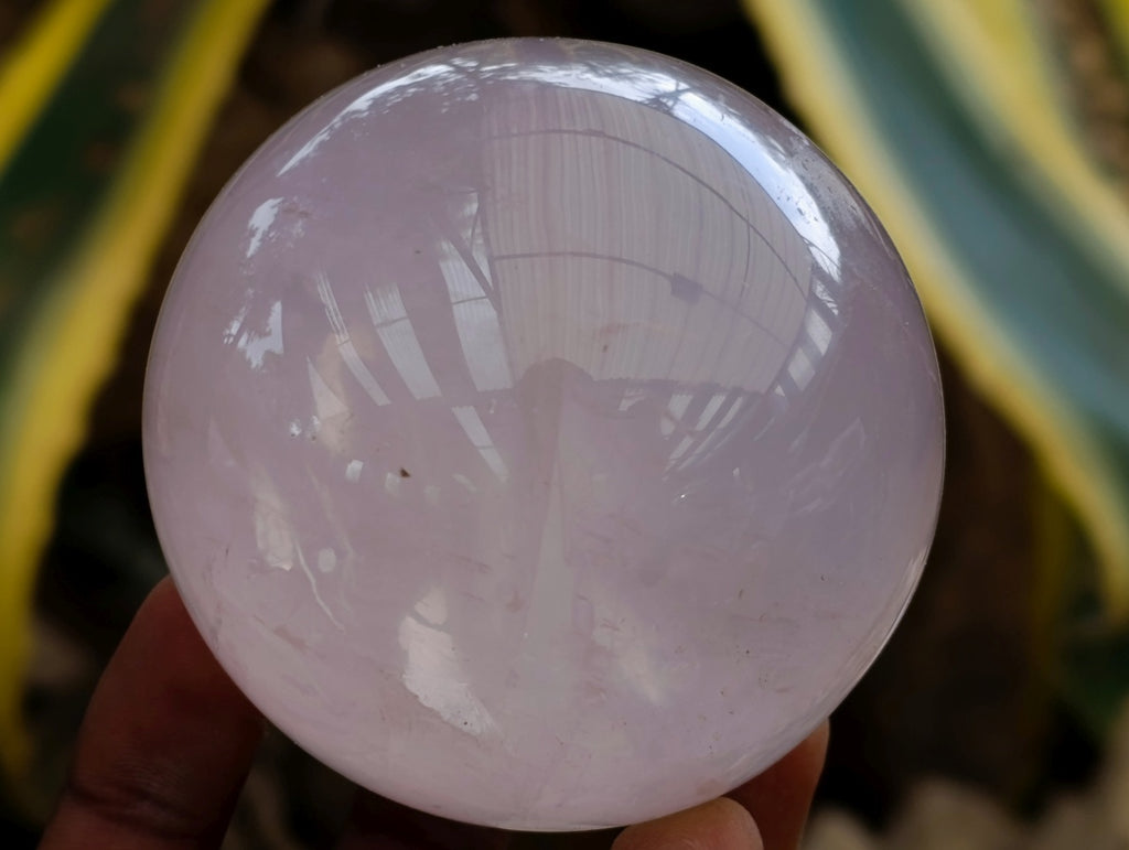 Polished Gemmy Star Rose Girasol Quartz Spheres x 3 From Madagascar