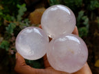 Polished Gemmy Star Rose Girasol Quartz Spheres x 3 From Madagascar