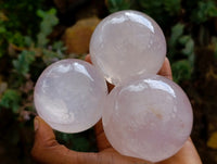 Polished Gemmy Star Rose Girasol Quartz Spheres x 3 From Madagascar
