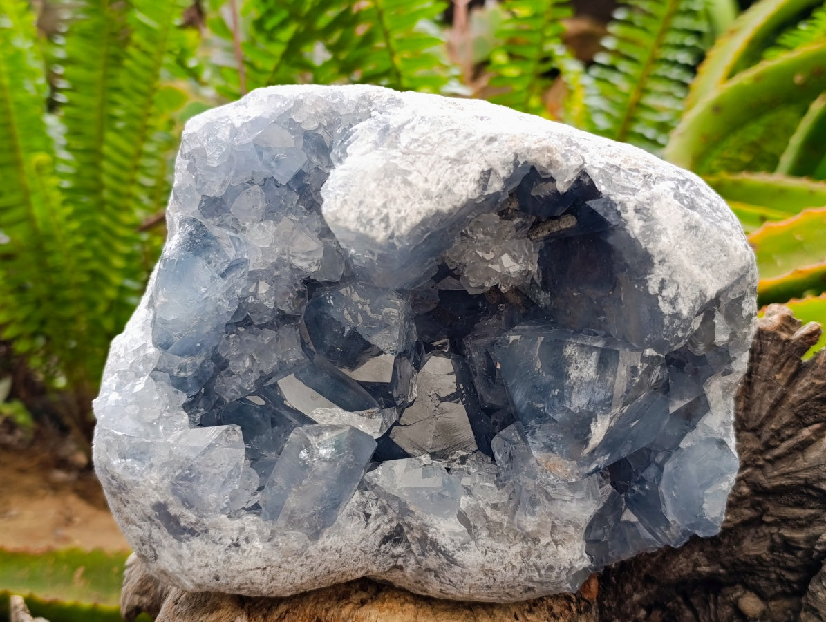 Natural Blue Celestite Specimen x 1 From Sakoany, Madagascar