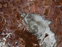 Polished Red Podocarpus Petrified Wood Slices x 2 From Mahajanga, Madagascar