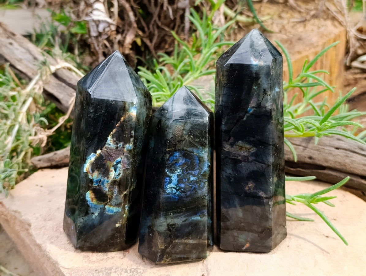 Polished Labradorite Display Crystals x 3 From Madagascar
