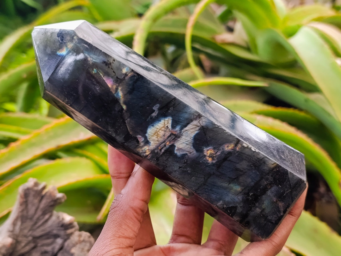 Polished Labradorite Display Crystals x 3 From Madagascar