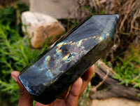 Polished Labradorite Display Crystals x 3 From Madagascar