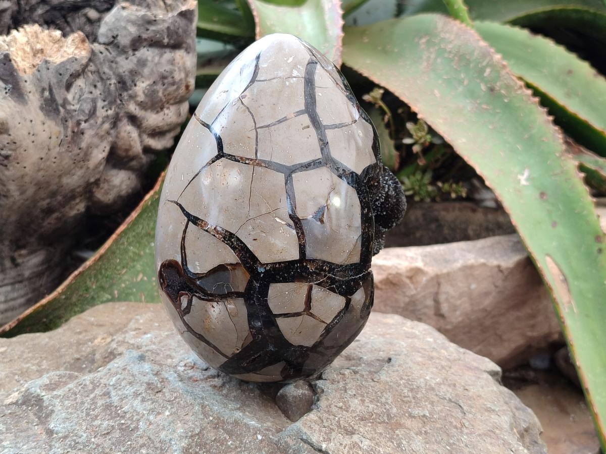 Polished Septerye Sauvage "Dragons Egg" Geode x 1 From Mahajanga, Madagascar
