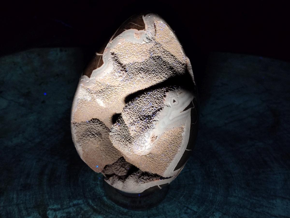 Polished Septerye Sauvage "Dragons Egg" Geode x 1 From Mahajanga, Madagascar