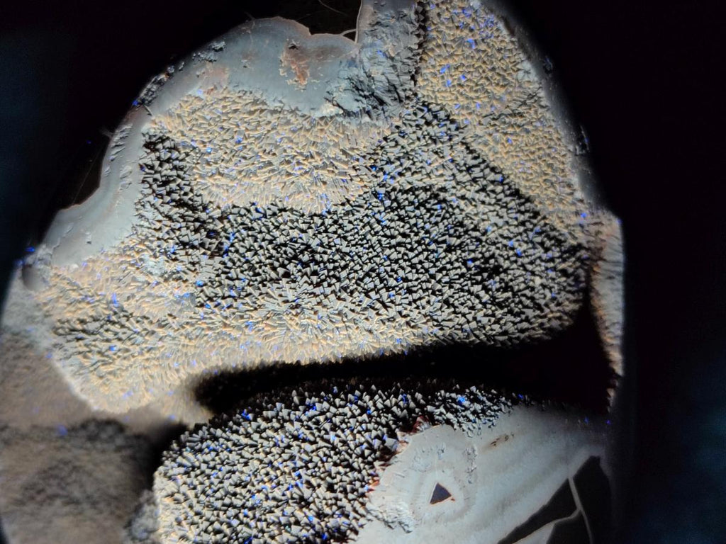 Polished Septerye Sauvage "Dragons Egg" Geode x 1 From Mahajanga, Madagascar