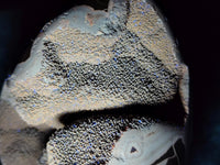 Polished Septerye Sauvage "Dragons Egg" Geode x 1 From Mahajanga, Madagascar