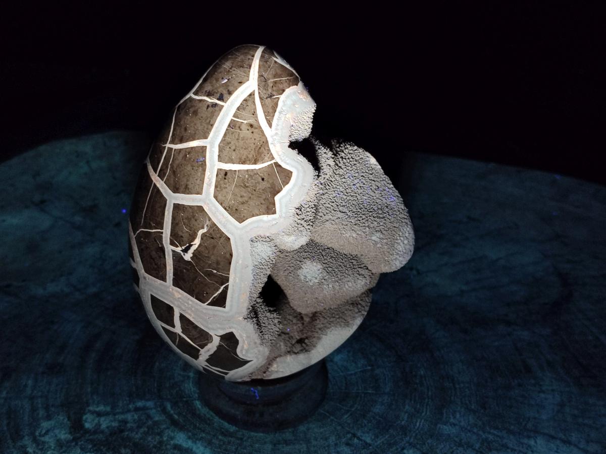 Polished Septerye Sauvage "Dragons Egg" Geode x 1 From Mahajanga, Madagascar