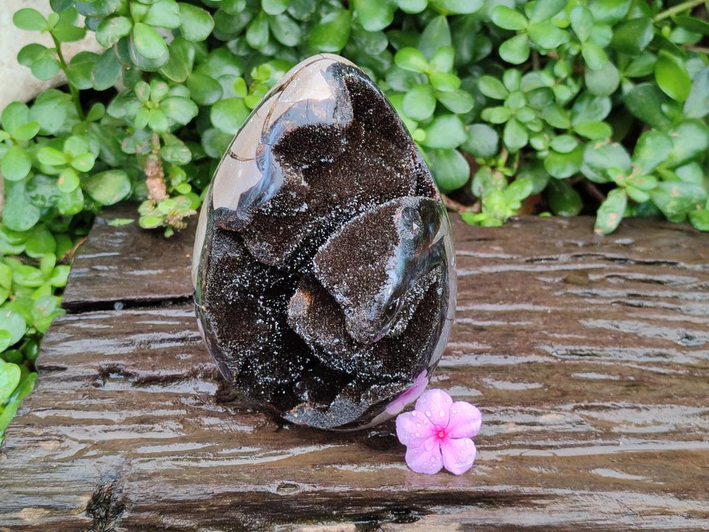 Polished Septerye Sauvage "Dragons Egg" Geode x 1 From Mahajanga, Madagascar