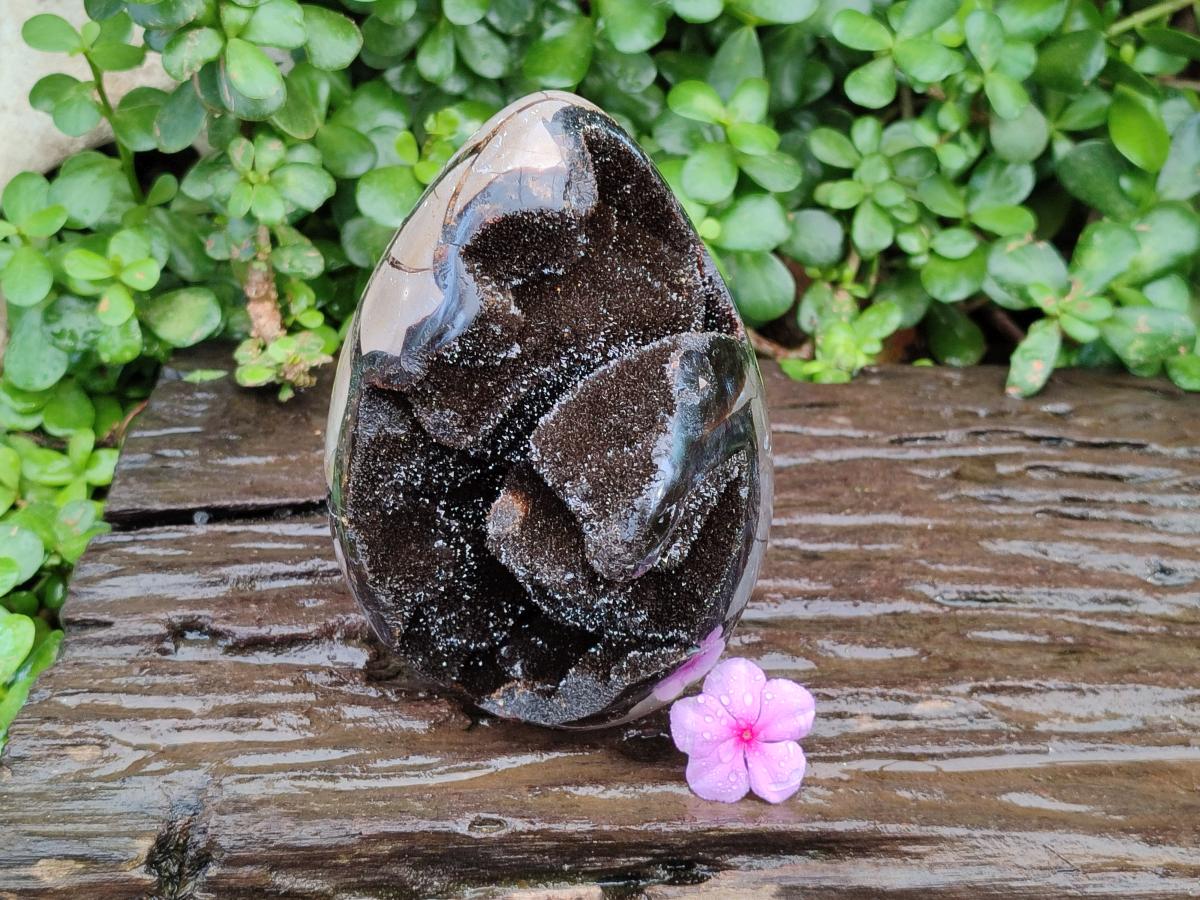 Polished Septerye Sauvage "Dragons Egg" Geode x 1 From Mahajanga, Madagascar