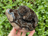 Polished Septerye Sauvage "Dragons Egg" Geode x 1 From Mahajanga, Madagascar
