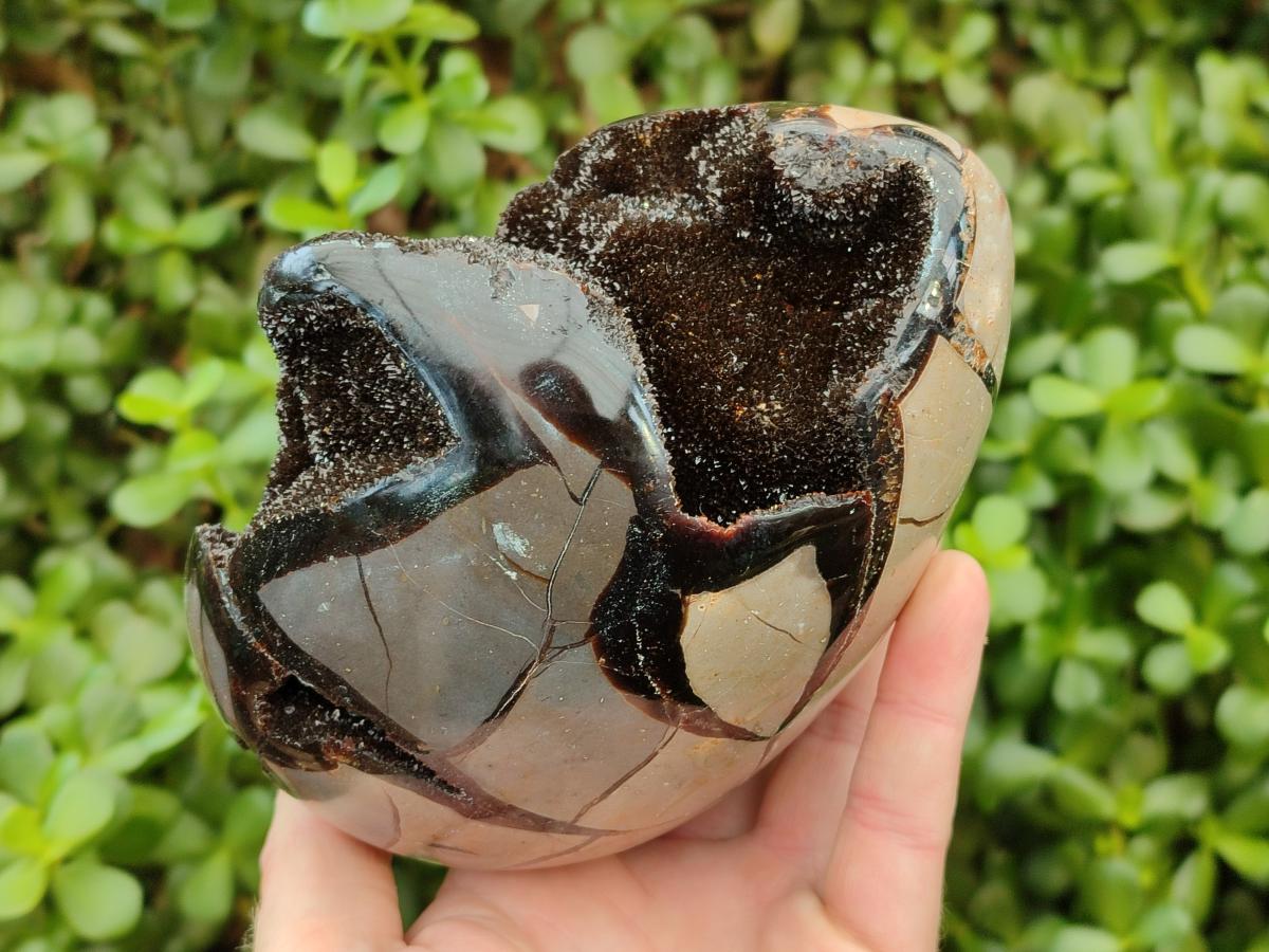 Polished Septerye Sauvage "Dragons Egg" Geode x 1 From Mahajanga, Madagascar