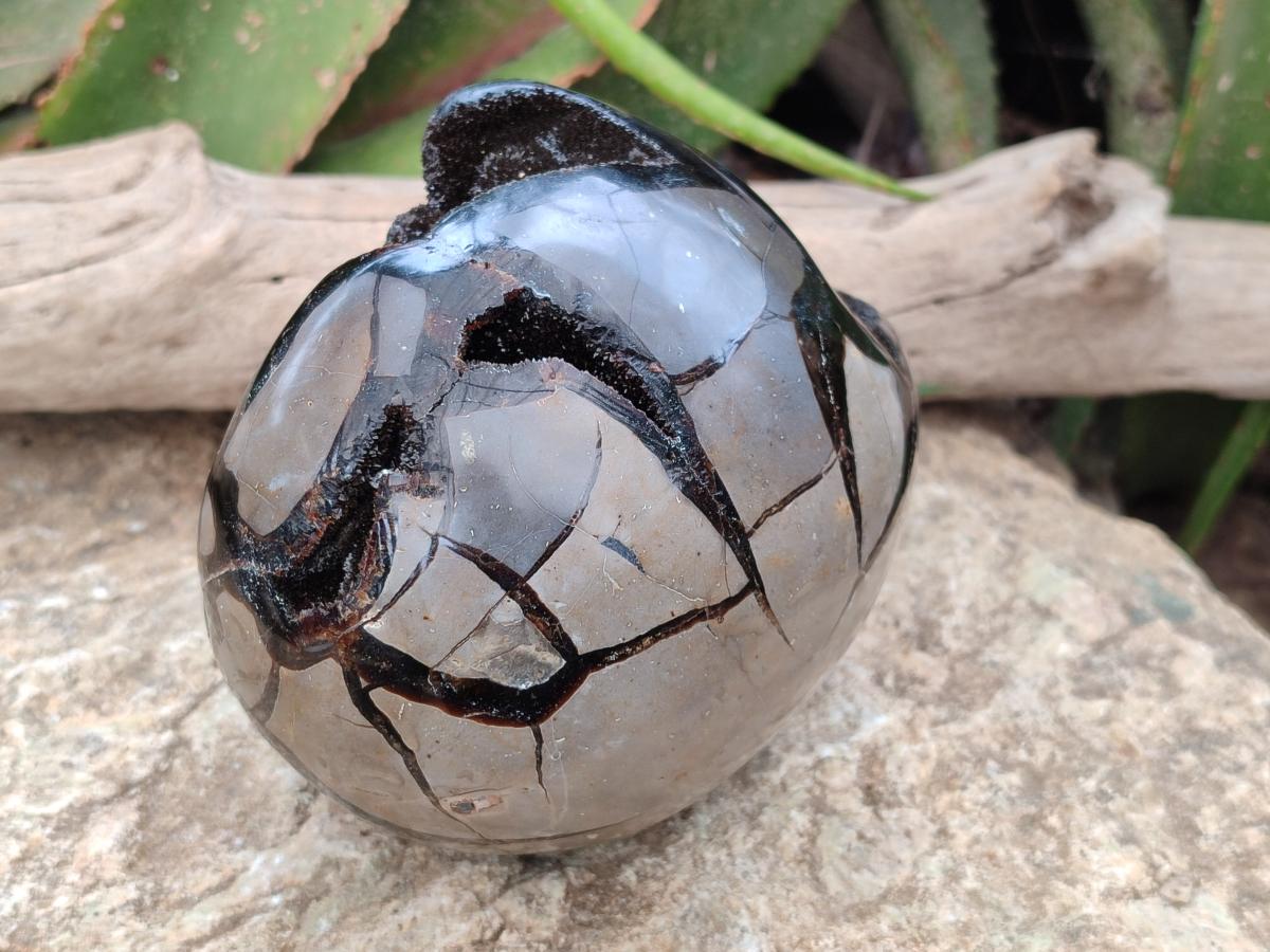 Polished Septerye Sauvage "Dragons Egg" Geode x 1 From Mahajanga, Madagascar
