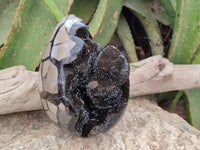 Polished Septerye Sauvage "Dragons Egg" Geode x 1 From Mahajanga, Madagascar