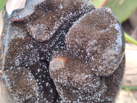 Polished Septerye Sauvage "Dragons Egg" Geode x 1 From Mahajanga, Madagascar