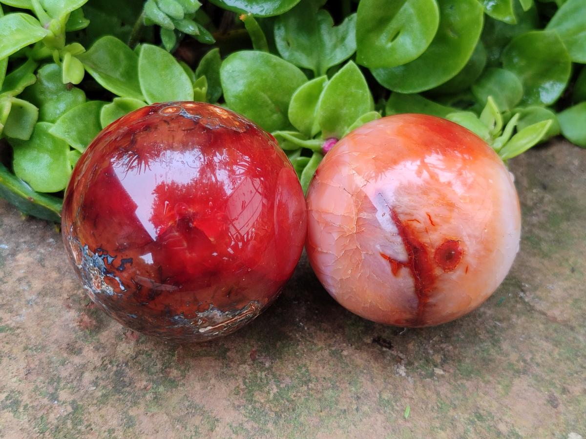 Polished Carnelian Agate Gemstone Spheres x 6 From Madagascar