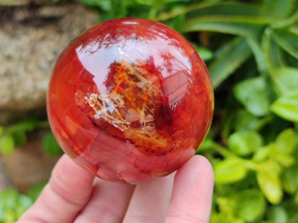Polished Carnelian Agate Gemstone Spheres x 6 From Madagascar