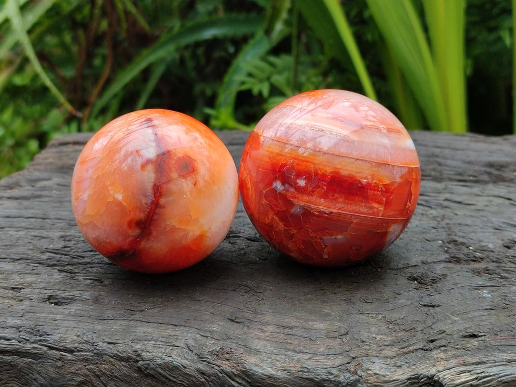Polished Carnelian Agate Gemstone Spheres x 6 From Madagascar
