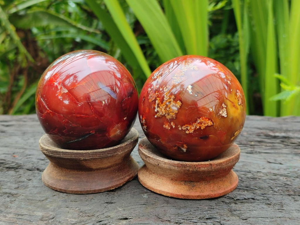 Polished Carnelian Agate Gemstone Spheres x 6 From Madagascar