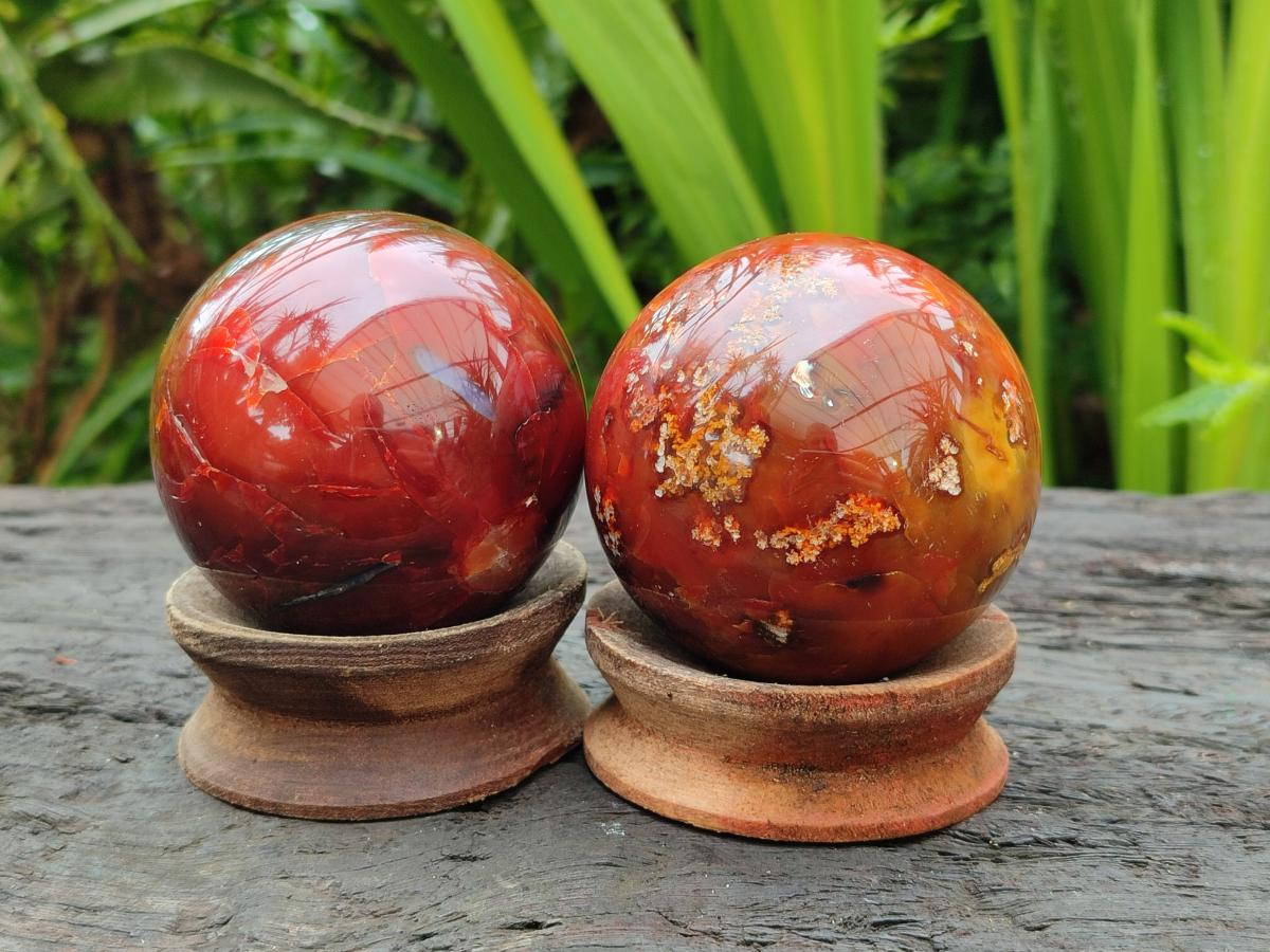 Polished Carnelian Agate Gemstone Spheres x 6 From Madagascar