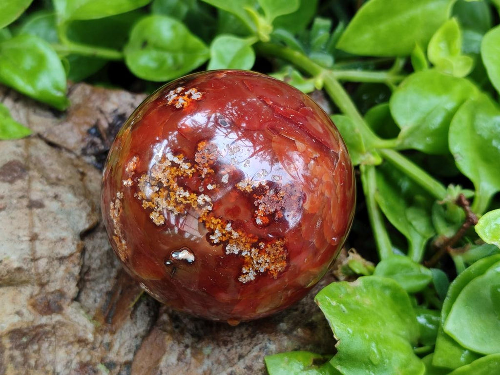 Polished Carnelian Agate Gemstone Spheres x 6 From Madagascar