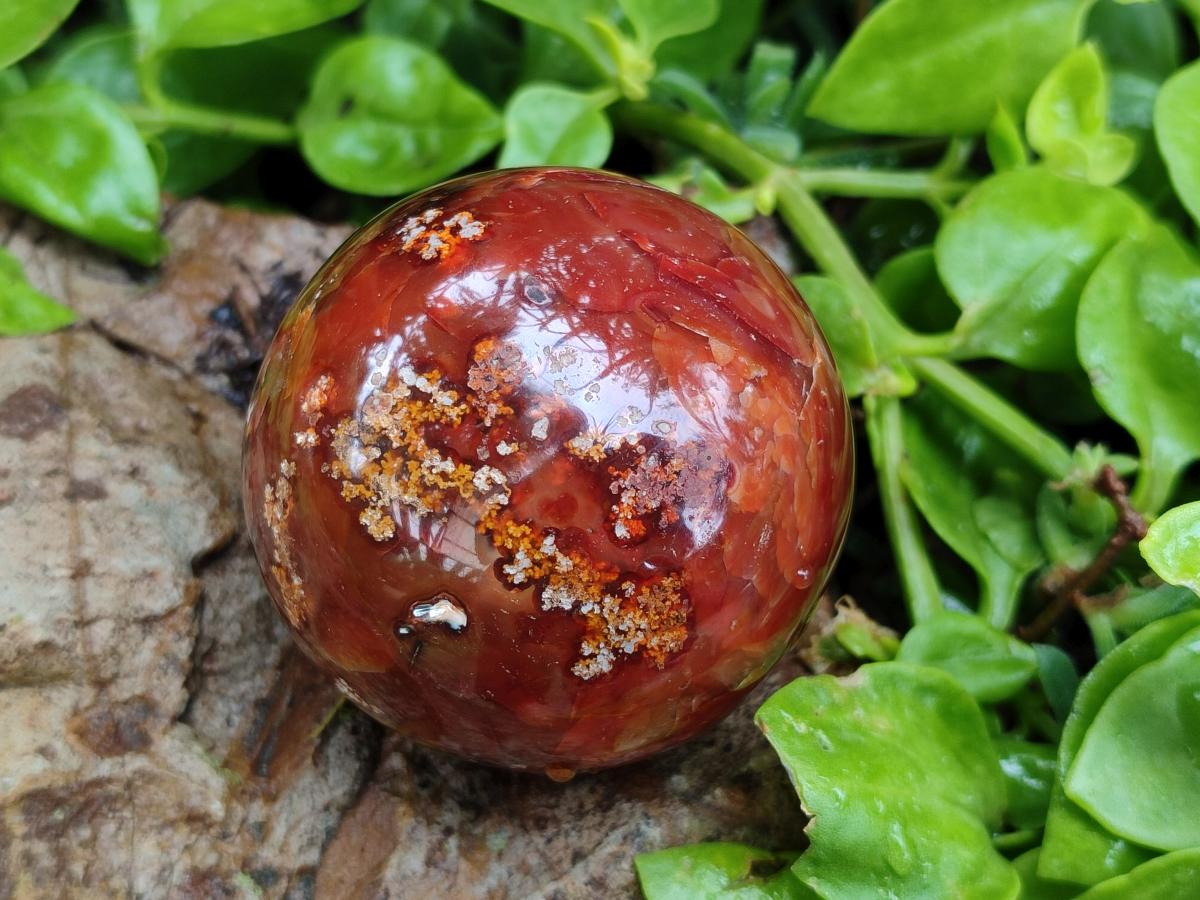Polished Carnelian Agate Gemstone Spheres x 6 From Madagascar