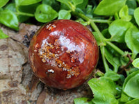 Polished Carnelian Agate Gemstone Spheres x 6 From Madagascar